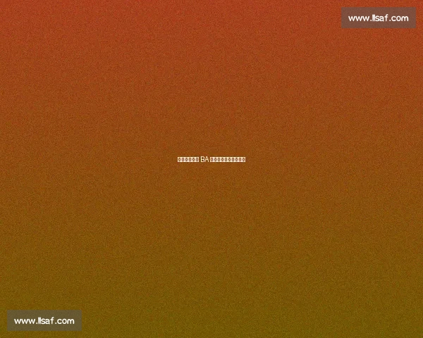 狮跃赛场!德 BA 决赛国风开场燃爆全场