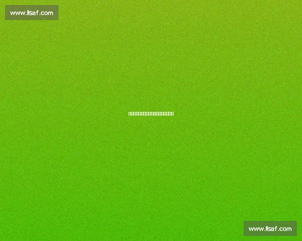 淬火成钢：中国男篮留洋潮的突围与蜕变