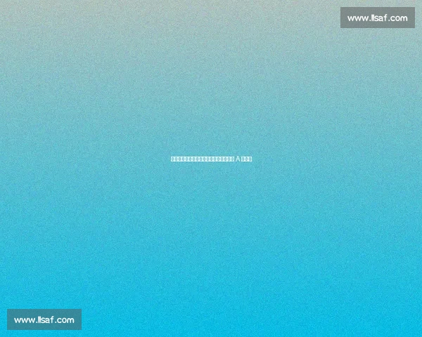 皇马锁定本菲卡天才左闸！世俱杯后官宣 A 费加盟